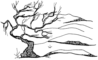 322x197 Environment Facts