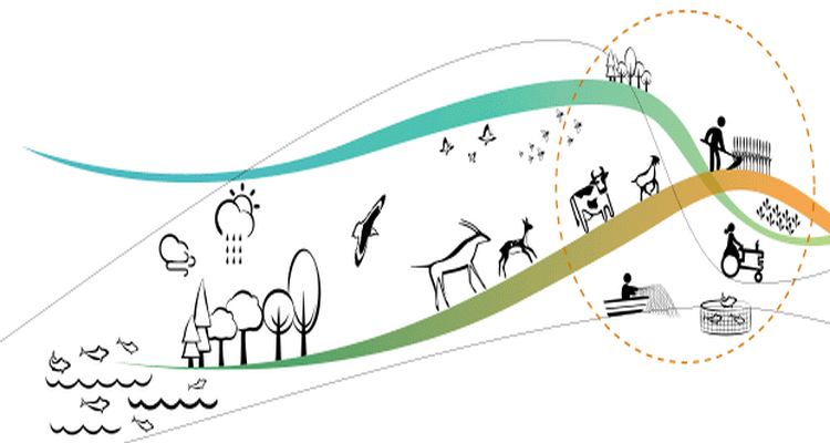 750x400 Making Food And Agriculture Sustainable