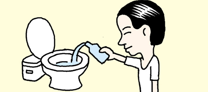 700x311 To Clean A Toilet