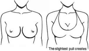 303x174 Cleavage Drawing For Free Download