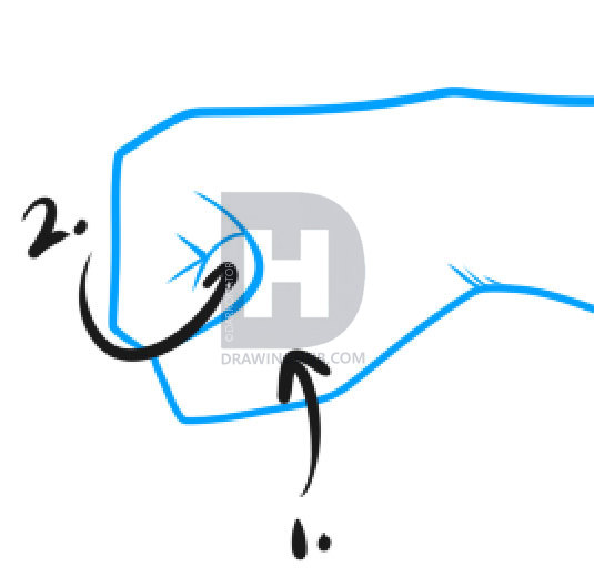 535x520 how to draw fists, step