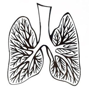 300x300 paper jane studio drawing lungs for a special client project