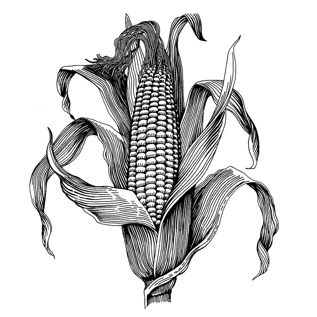 1024x1024 Sea Cliff Farmers Market