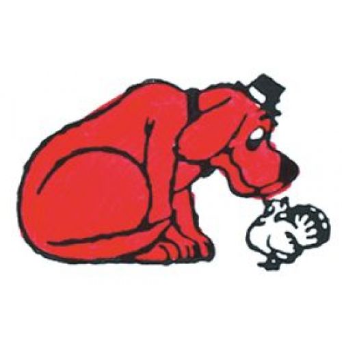 500x500 Turkey Clifford