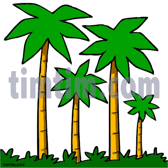 572x572 Free Drawing Of Palm Trees From The Category Climate Nature