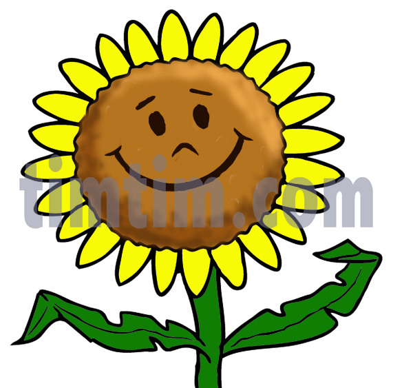 571x563 Free Drawing Of A Sunflower Smiley From The Category Climate