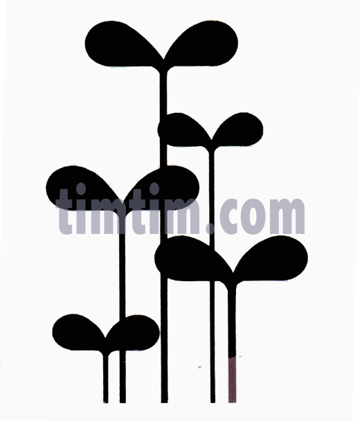 520x608 free drawing of bean sprouts bw from the category climate