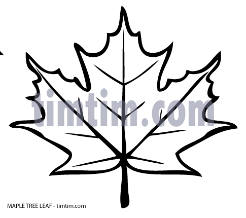 485x430 Free Drawing Of Leaf Maple Tree Bw From The Category Climate