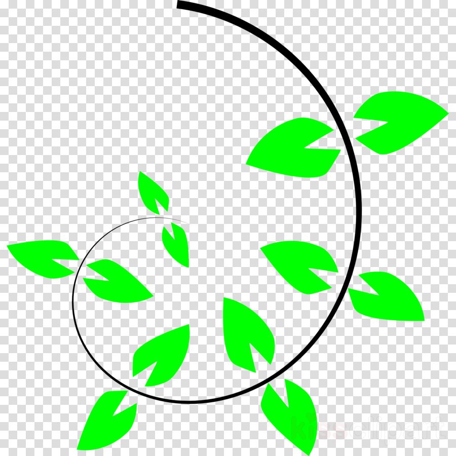 900x900 Climbing, Drawing, Leaf, Transparent Png Image Clipart Free Download