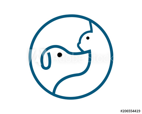 500x400 Hospital Health Animal Pet Care Veterinary Clinic Friends Safety