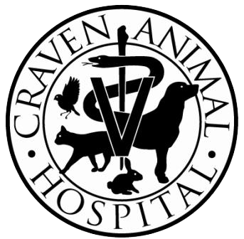 343x336 Vet Drawing Veterinary Clinic Transparent Png Clipart Free