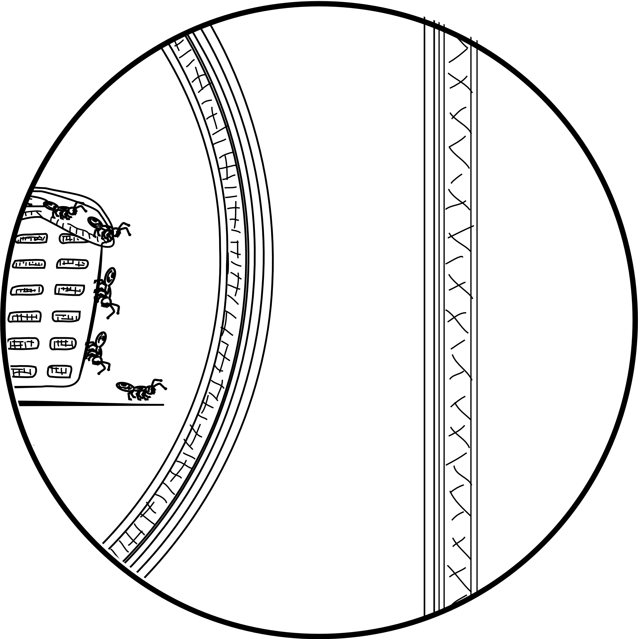 2216x2221 Close Up Detail