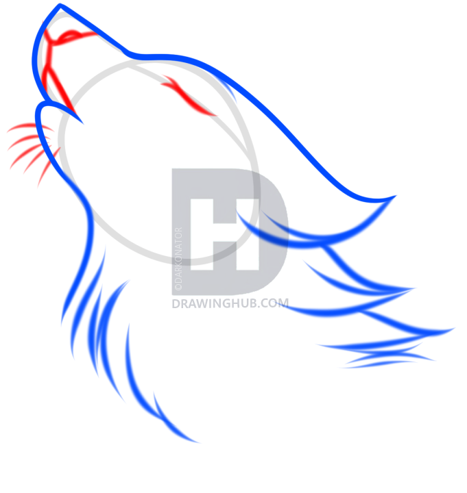 681x720 How To Draw A Wolf Spirit, Step