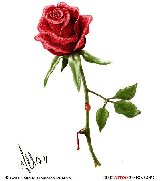560x634 Realistic Rose Tattoo Design One With Thorns, Dripping Blood