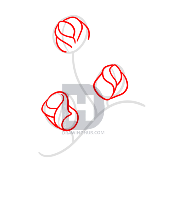 544x720 How To Draw Mothers Day Flowers, Step