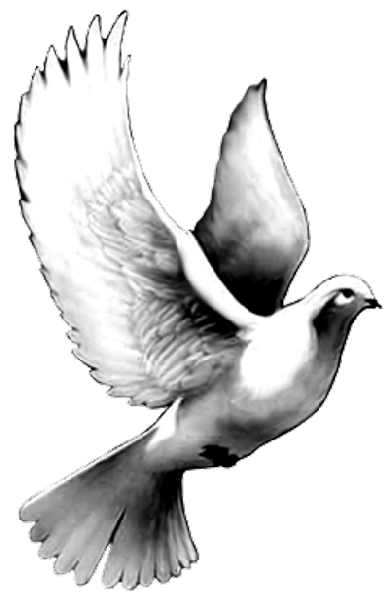 390x600 Collection Of Free Drawing Clouds Tattoo Download On Ui Ex