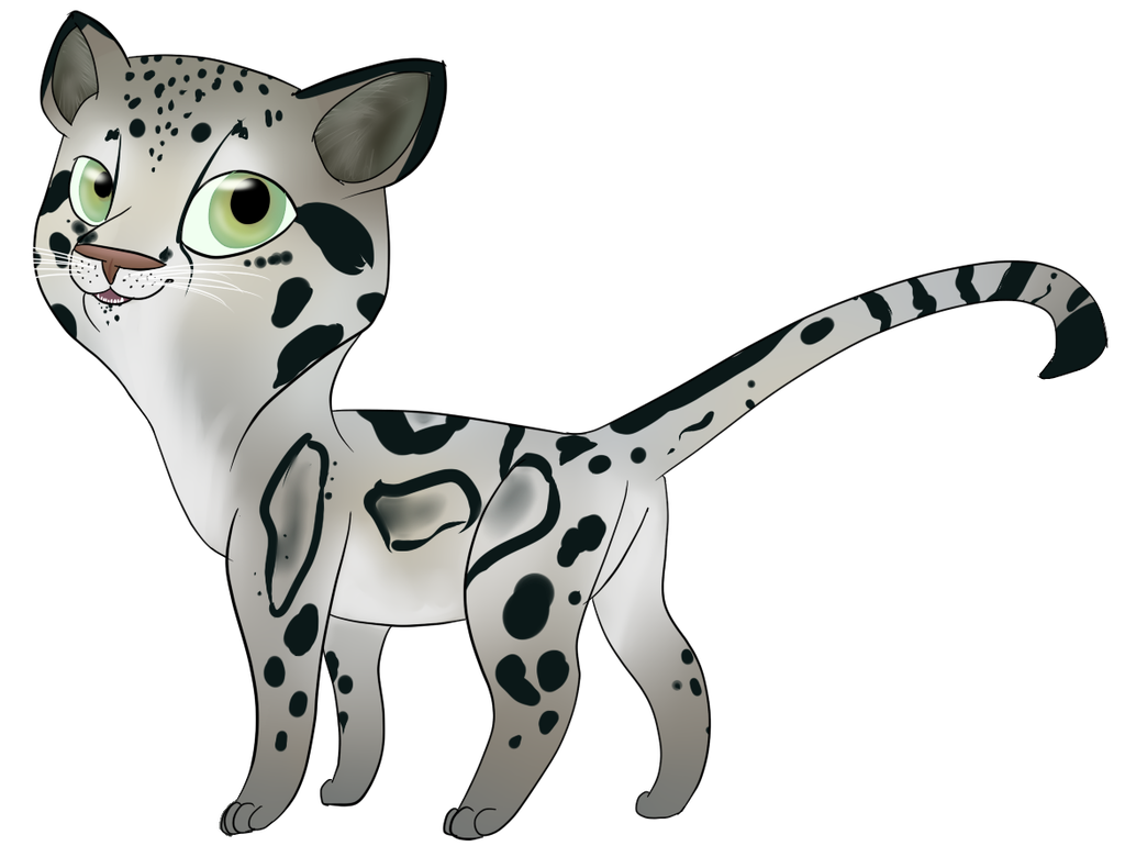 1024x780 Clouded Leopard