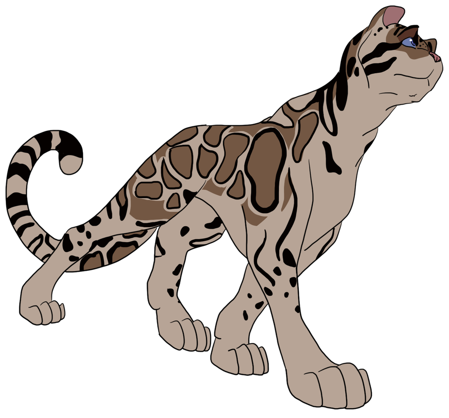 926x863 Day Clouded Leopard