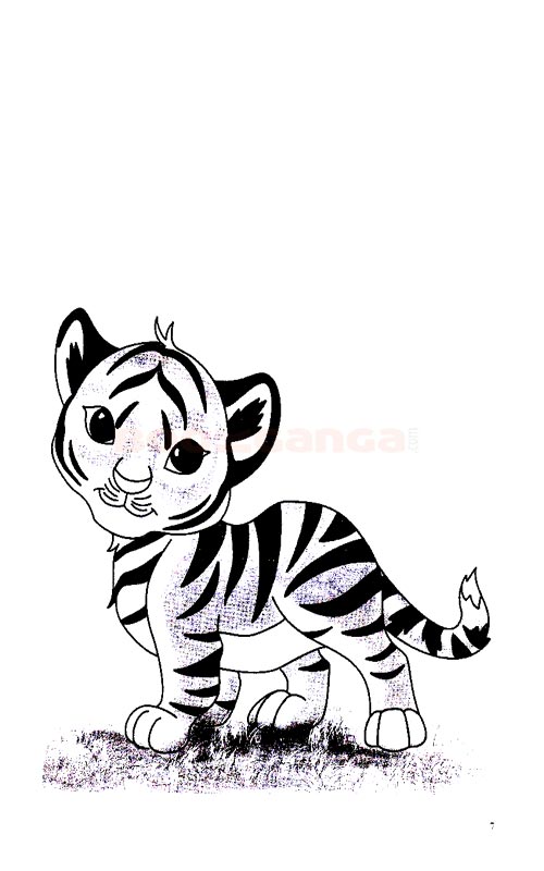 500x800 Easy Drawing Book