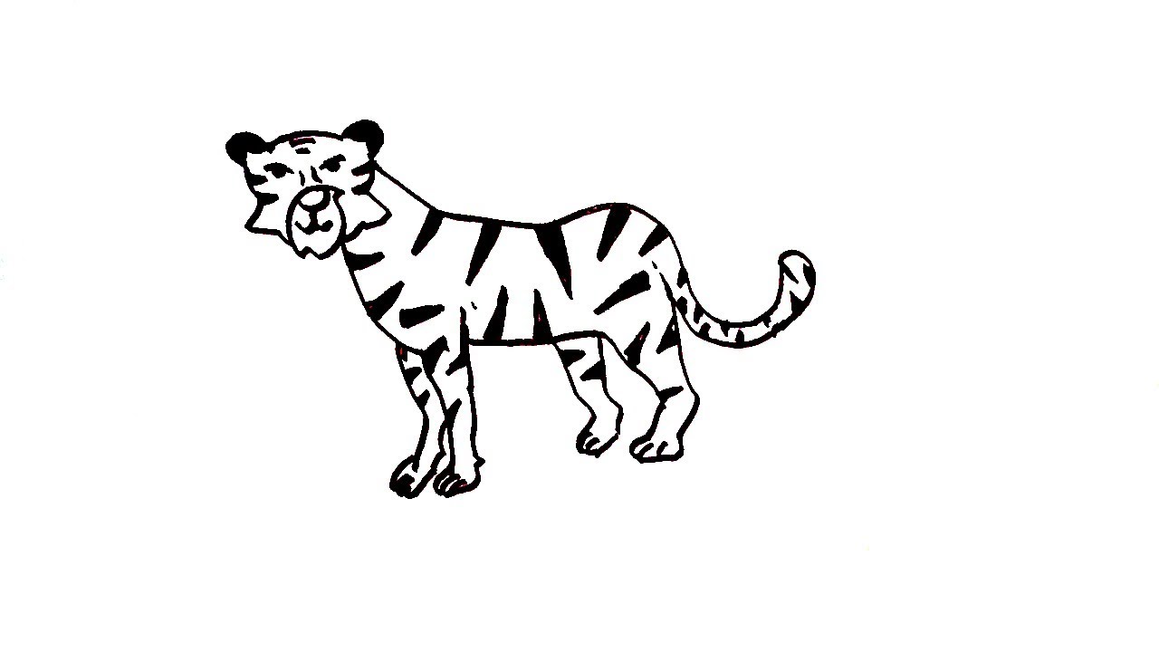 1280x720 How To Draw A Tiger