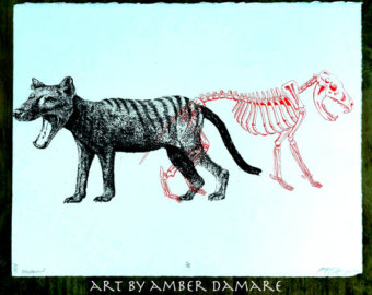 340x270 Thylacine Print Etsy
