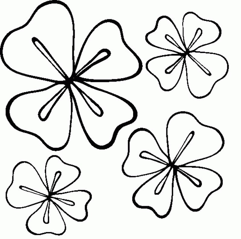 800x794 Four Leaf Clover Coloring Pages And Leaf Clover Coloring