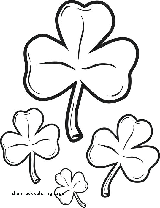 539x700 Clover Coloring Four Leaf Clover Coloring