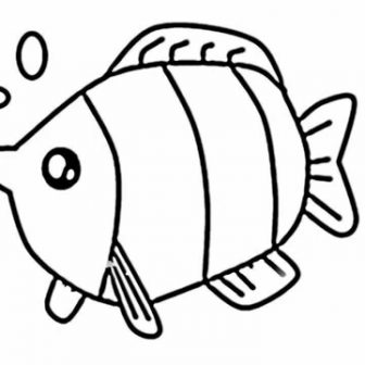 336x336 Cartoon Fish Drawing Steps Angler Clown Simple Colorful Carmi