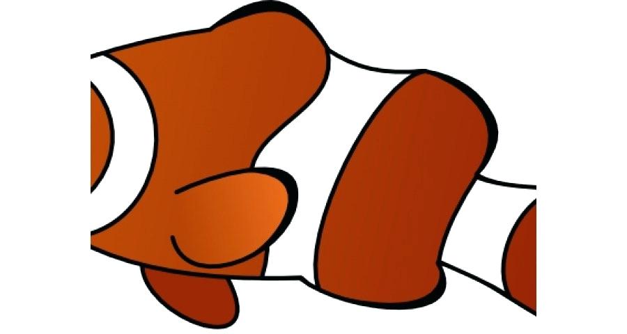900x480 How To Draw A Cartoon Clown Fish Nip