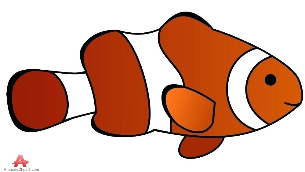 999x563 How To Draw A Cartoon Clown Fish Running
