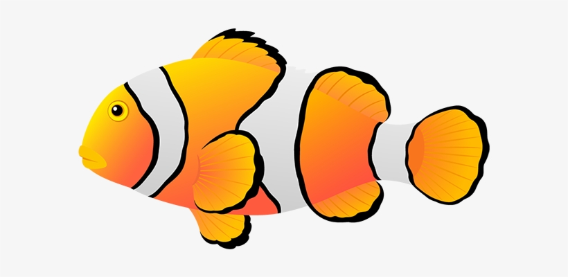 820x400 Clownfish Drawing Decorative Fish