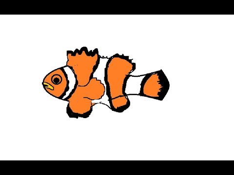 480x360 how to drawing a clown fish easily for kids