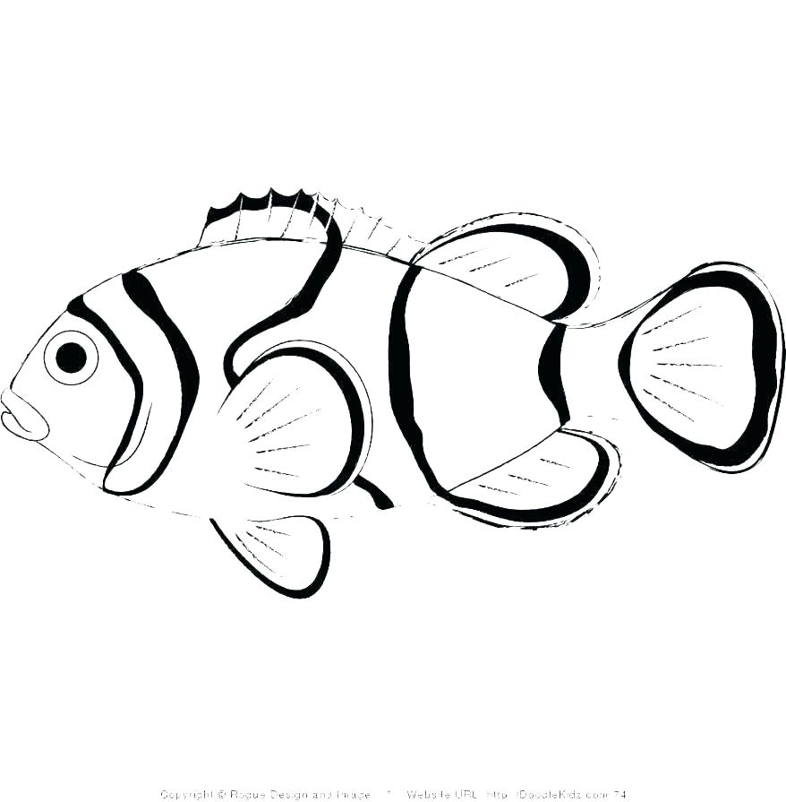 878x895 Clown Fish Coloring Pages