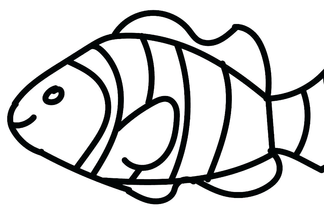 1080x720 Clown Fish Outline