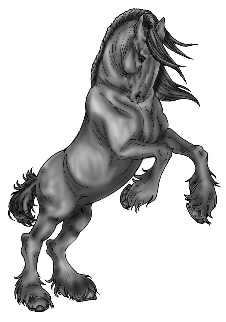 750x1066 Clydesdale Greyscale