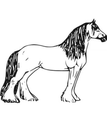 350x400 Clydesdale Horse