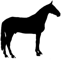 260x260 Drawing, Cartoon, Black, Transparent Png Image Clipart Free Download