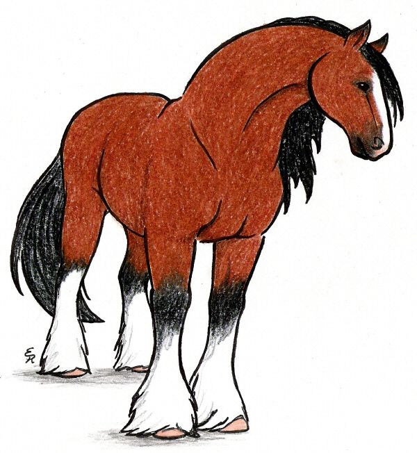 600x652 Horse