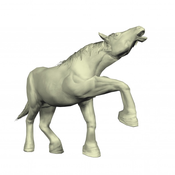 615x615 Clydesdale Horse Free Stock Photo