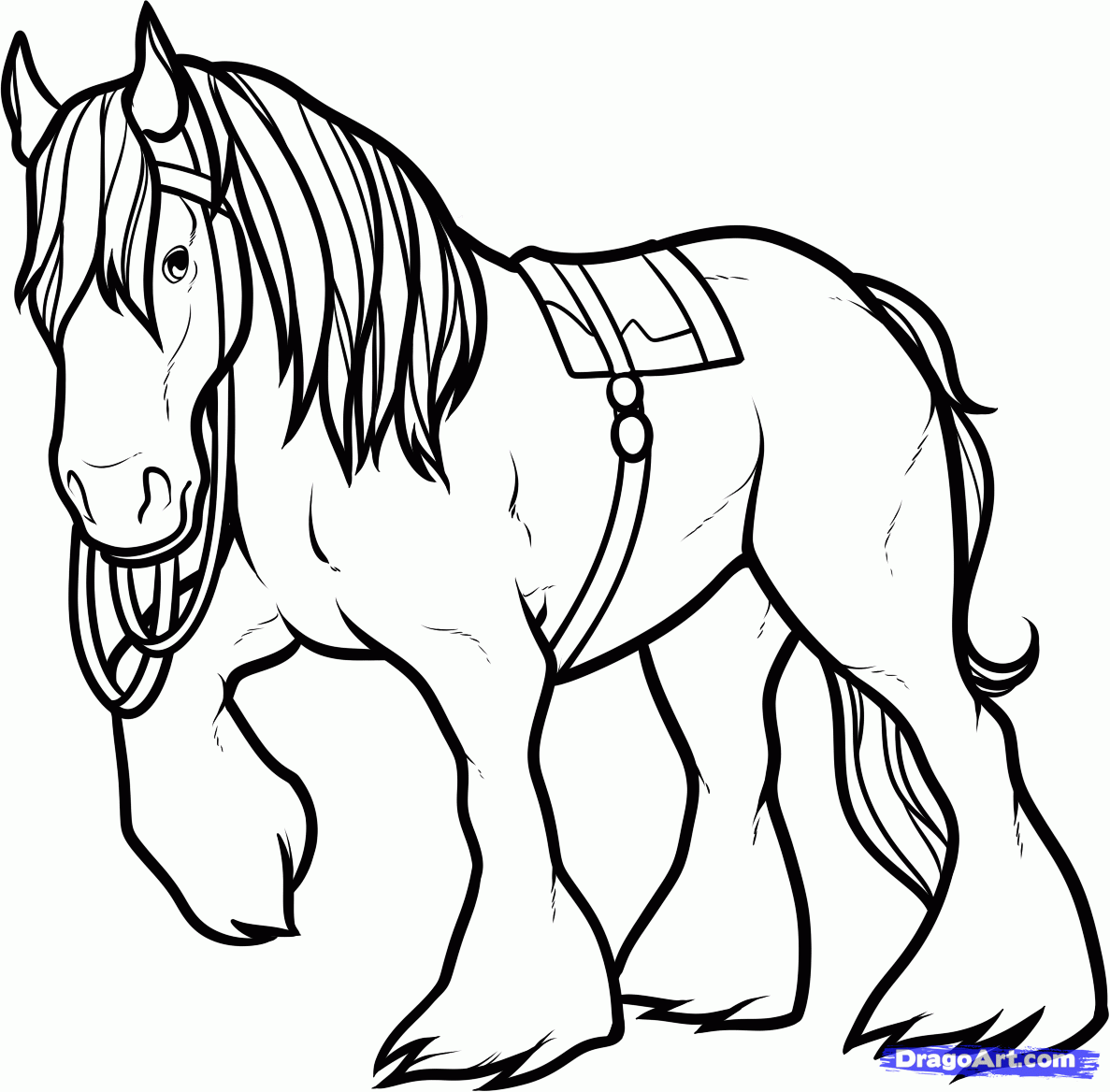 Clydesdale Horse Drawing Free download on ClipArtMag