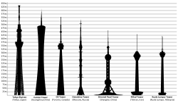 250x146 Kuala Lumpur Tower