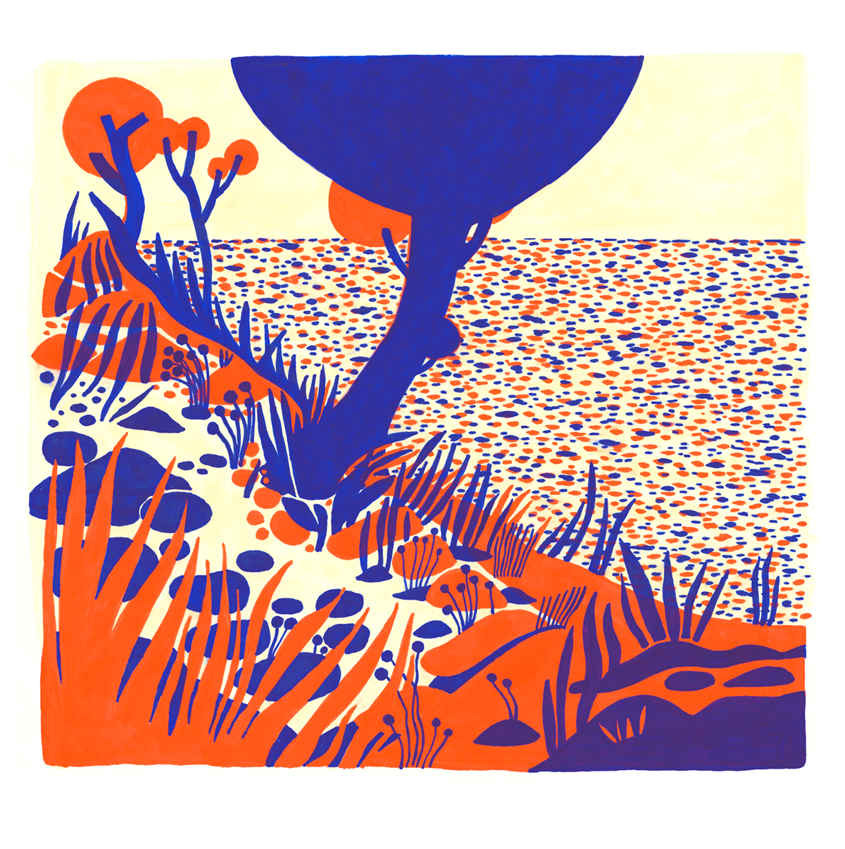 1200x1206 Coast Drawing On Behance