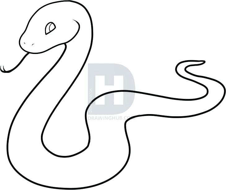 729x613 drawing of snake draw king cobra snake poisonous snake drawing