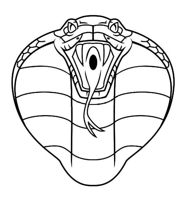 600x680 Cobra Drawing Outline For Free Download