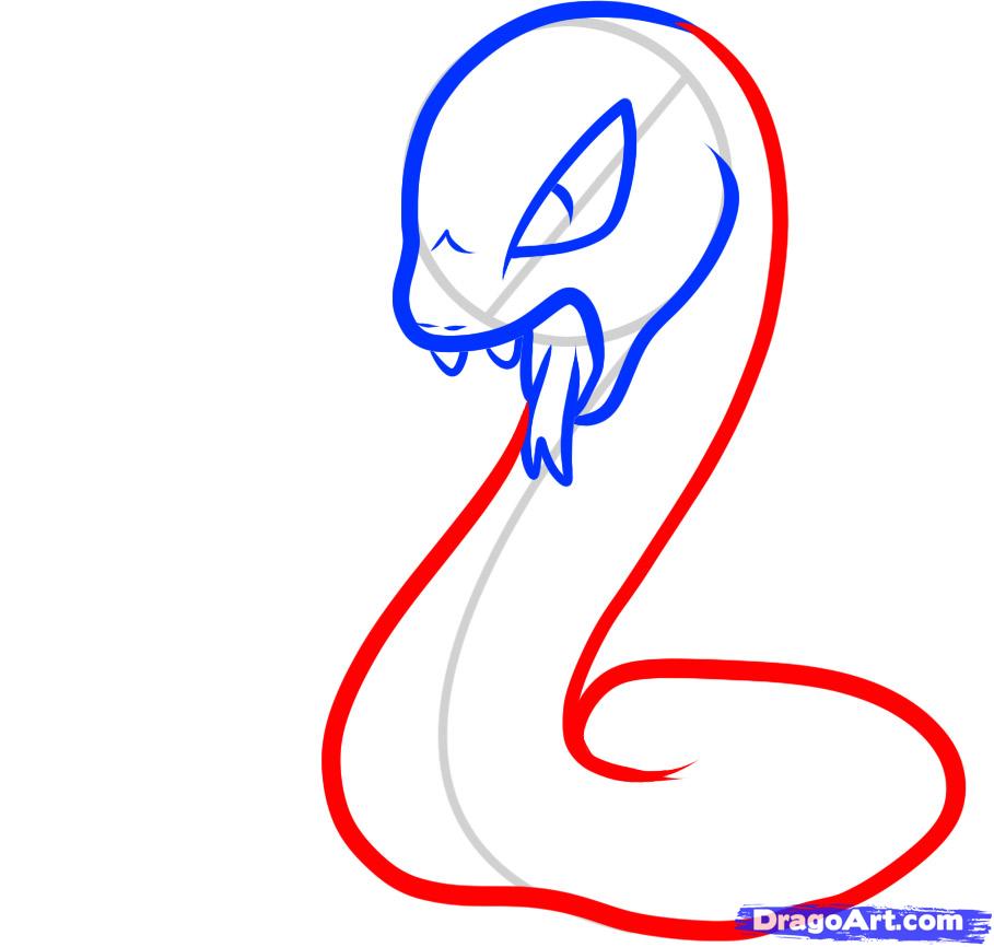 909x866 Step How To Draw A Cobra For Kids