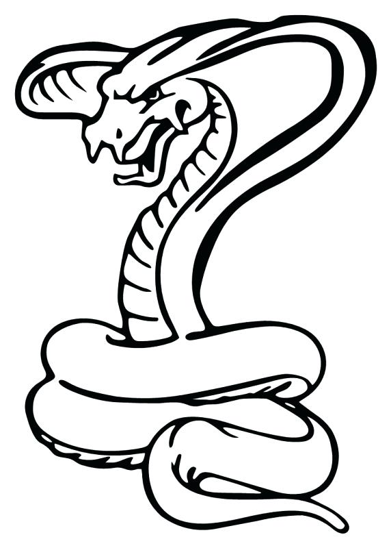 572x800 cobra snake drawings nip