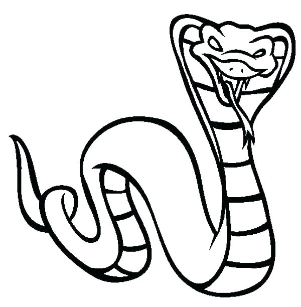 600x612 How To Draw A King Cobra Snake