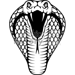 300x300 Cobra Head Clipart
