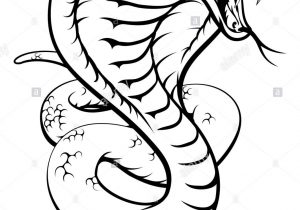 300x210 Cobra Snake Drawing How To Draw Snake King Cobra In Easy Steps