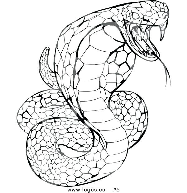 600x620 Draw Snake Head How To Draw A Snake Head Easy Step